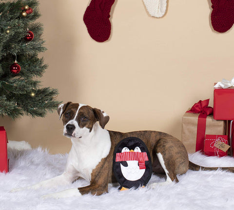 Holiday Crinkle Penguin Dog Toy